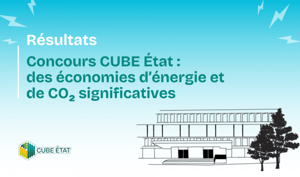 Replace with alt text