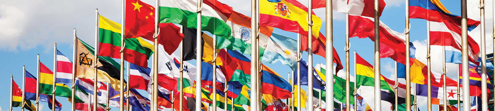 Diplômés à l'international